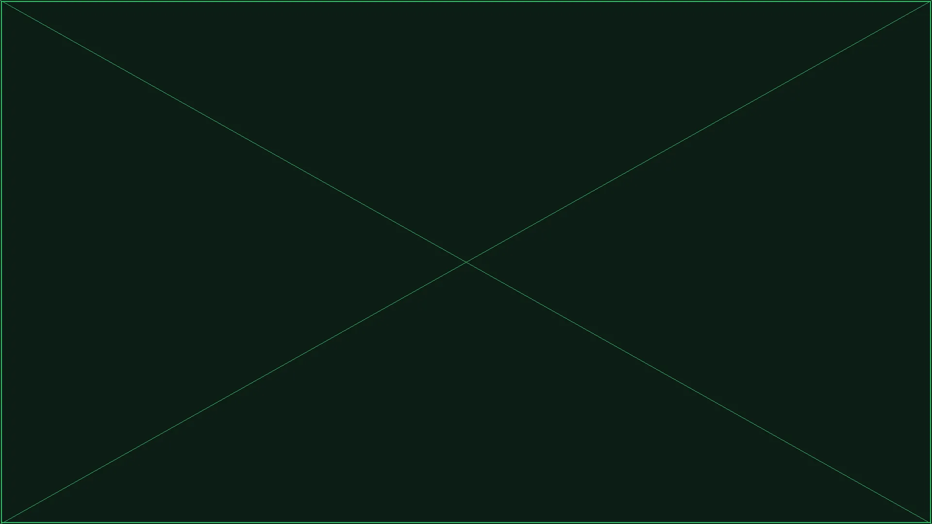 赏金大对决 - 魔法森林巨树网络入口