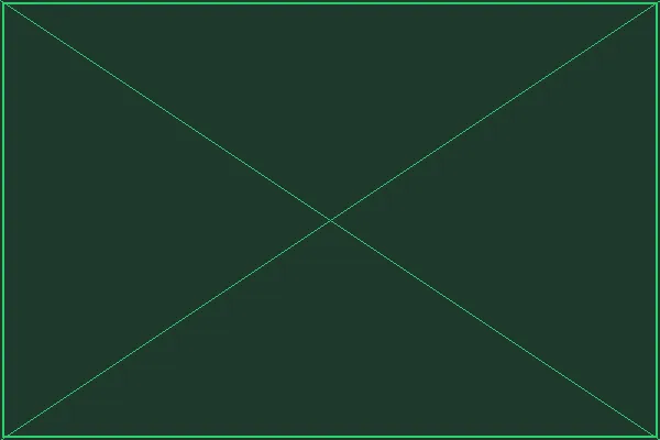 魔法卷轴攻略书架 - 赏金大对决